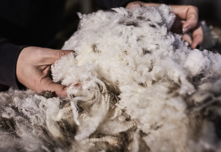 The Latest Innovations in Wool
